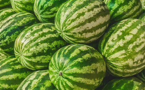 中山网红吃瓜群叫什么,揭秘背后故事与热门话题